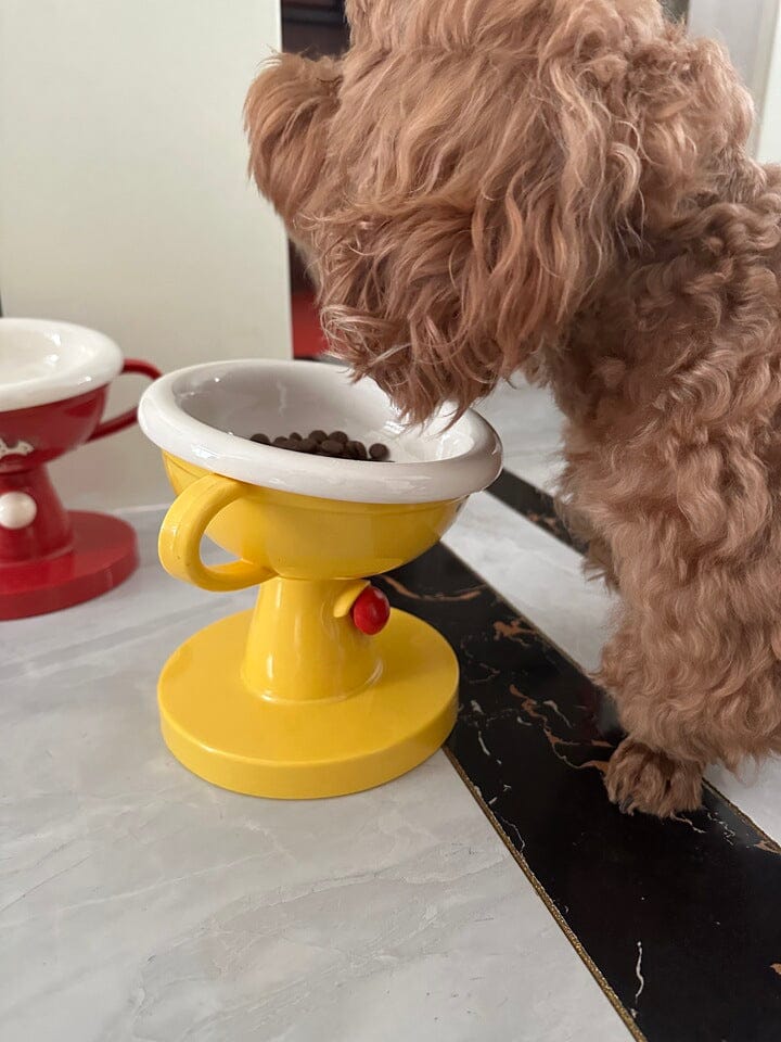 Customer photo review of Opulent Bowl