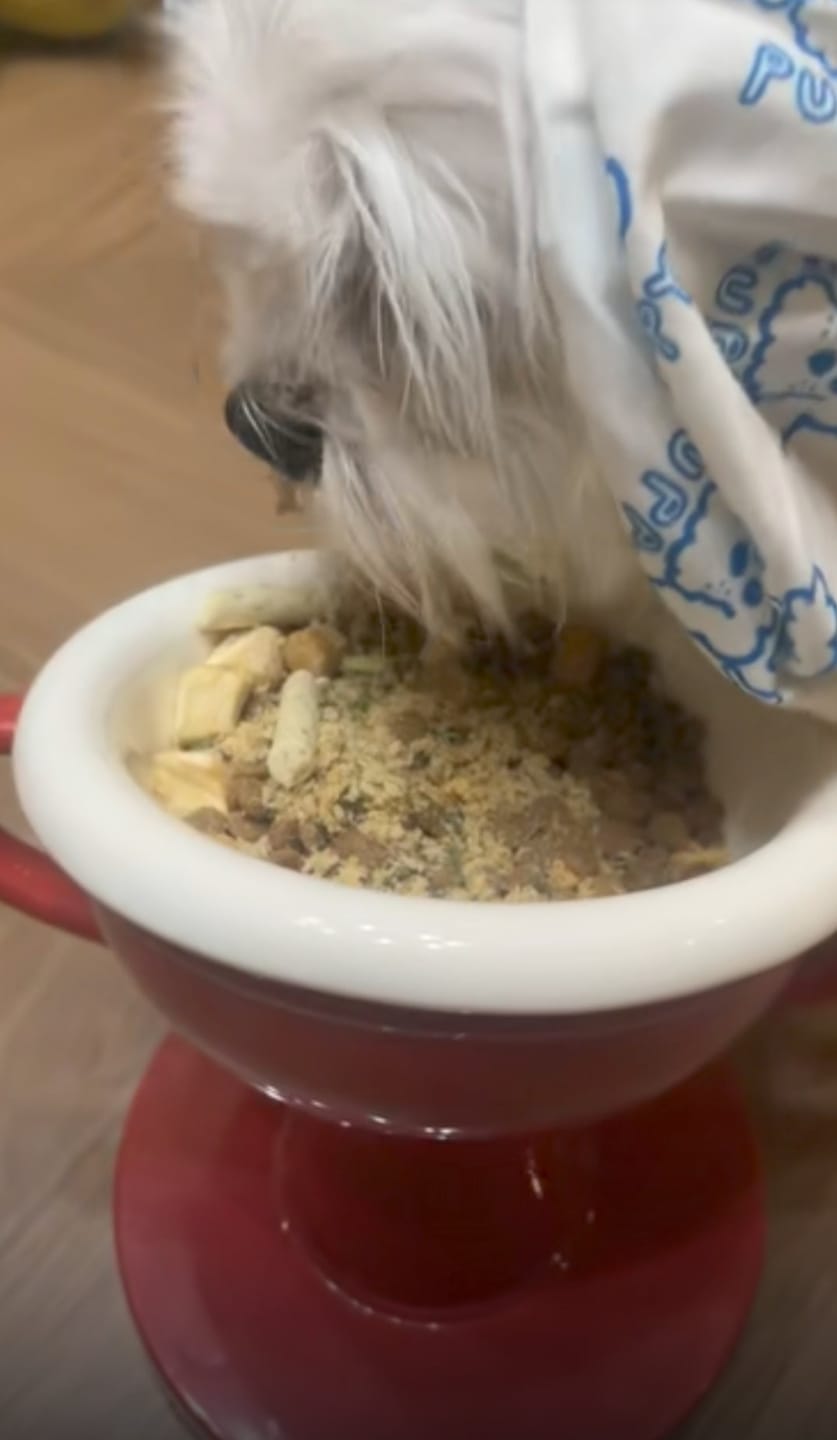 Customer photo review of Opulent Bowl