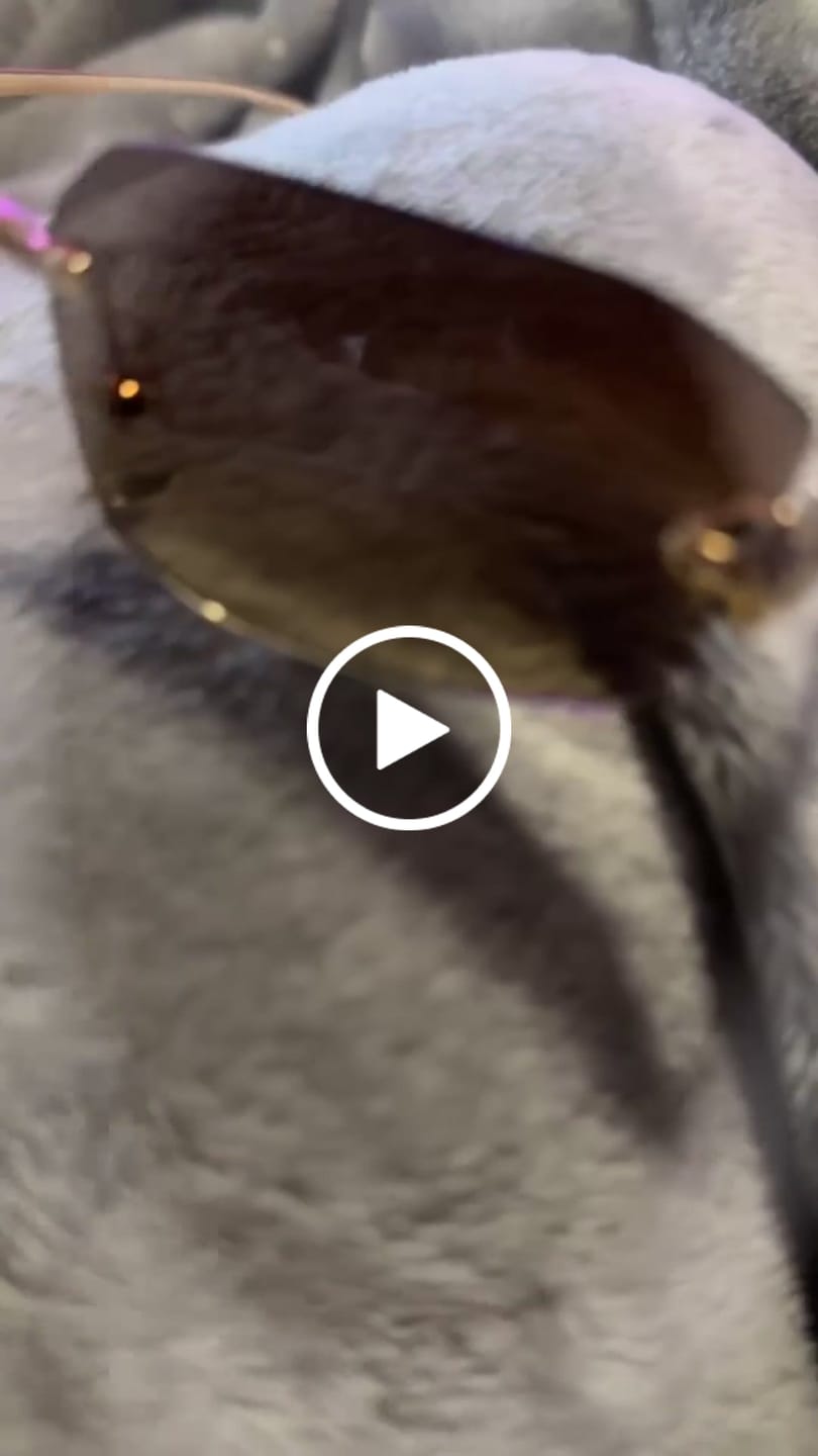Customer video review of Cartier Sunglasses 617111