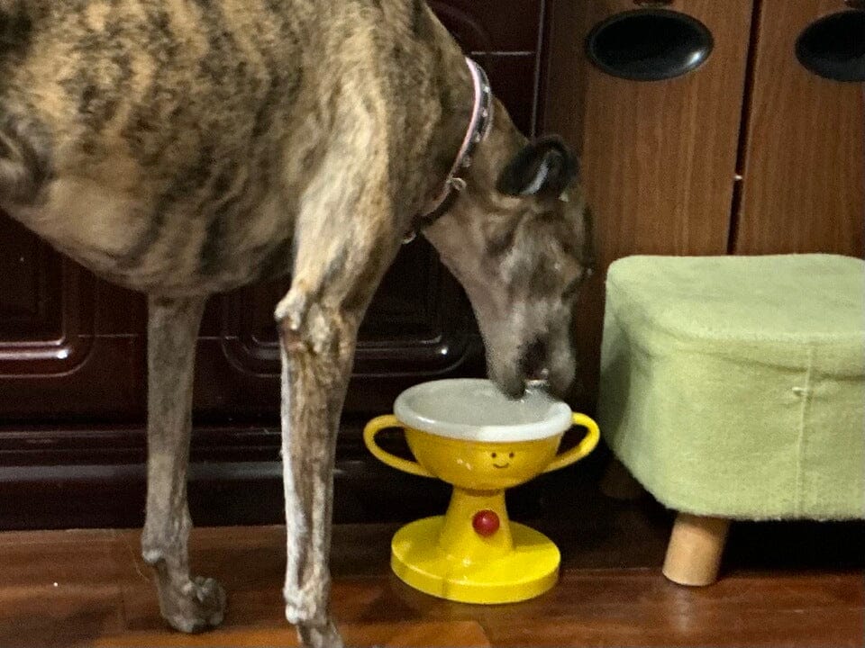 Customer photo review of Opulent Bowl