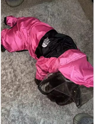 Customer photo review of Dog Raincoat That Keeps Your Pup Dry