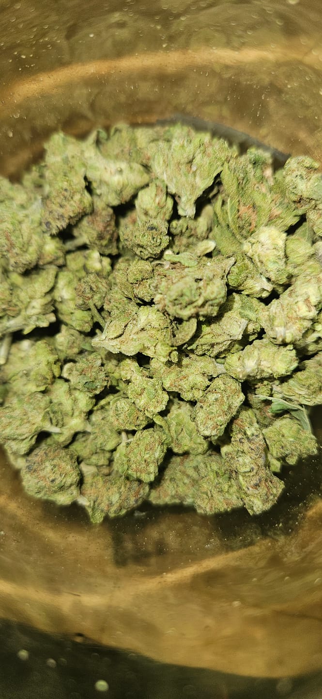 Customer photo review of Light Assist THCA Smalls