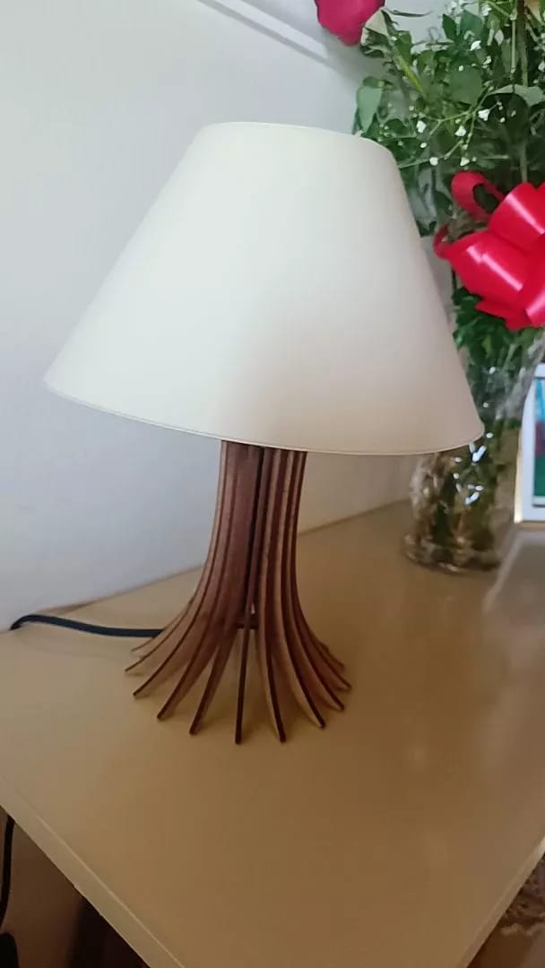 Customer photo review of Abajur de Mesa Moderno para Quarto e Sala com Base em MDF