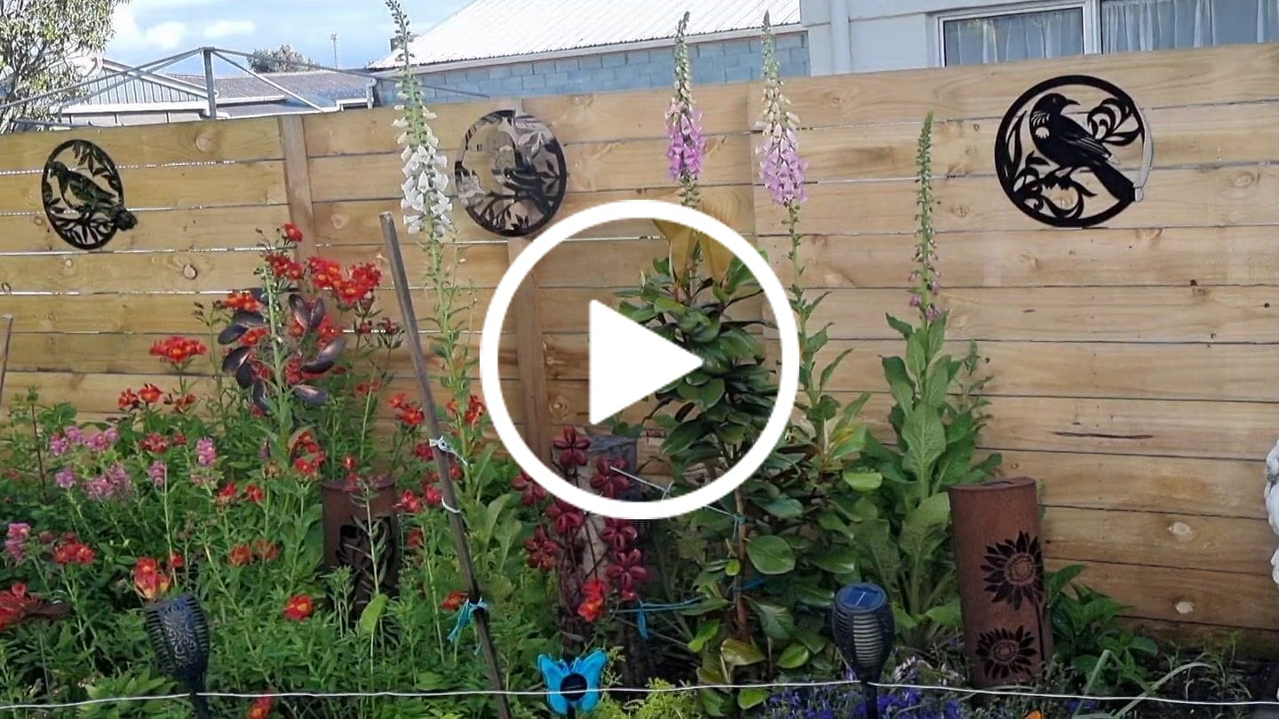 Customer video review of Three Piece Bird Wall Art Set