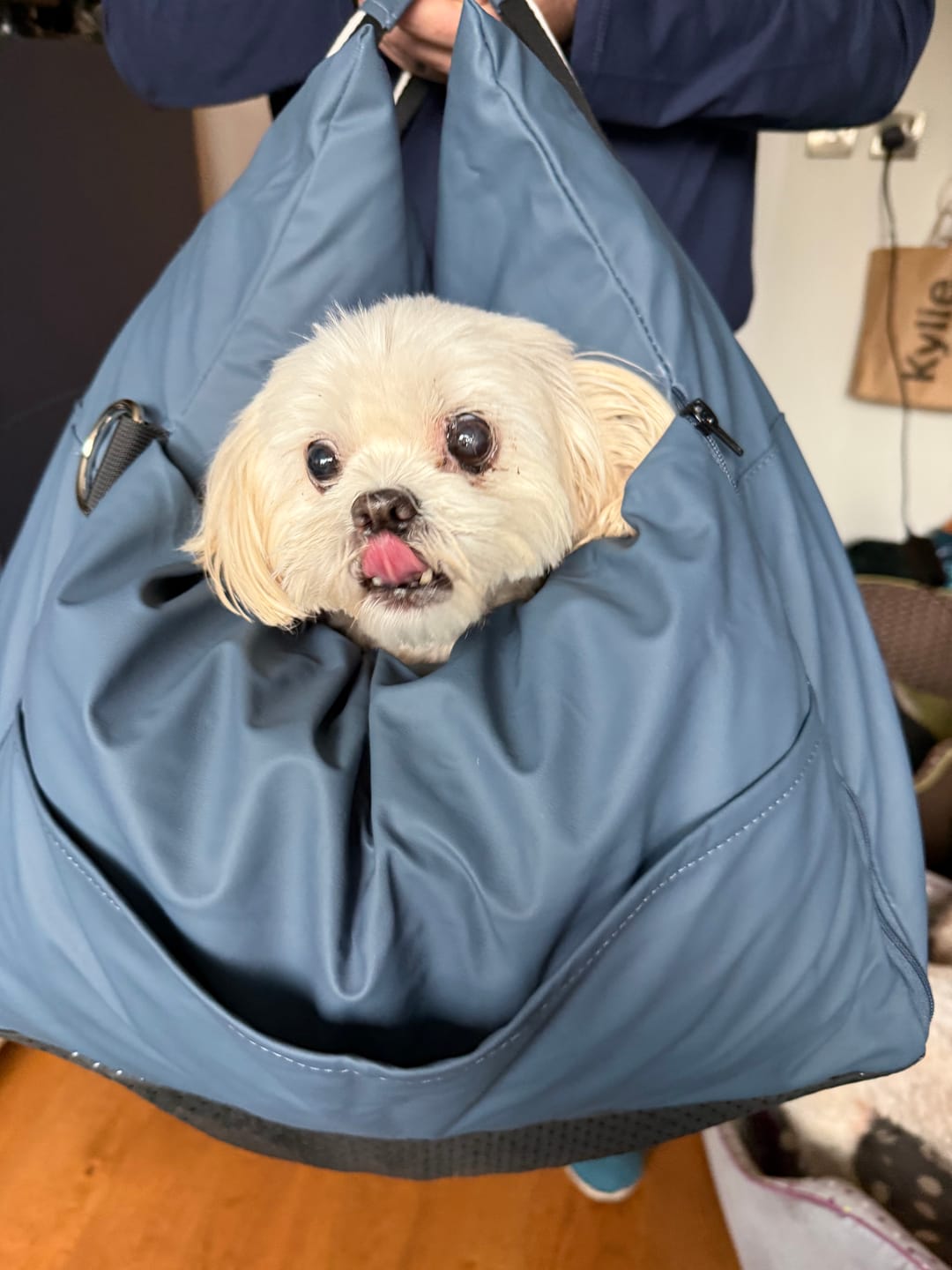 Customer photo review of Dog Dock V2 New & Improved ISO Fix