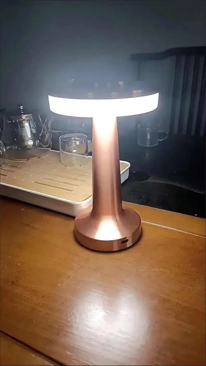 Customer photo review of Aluminium Cordless Table Lamp, Rechargeable, Touch Control, 20 cm