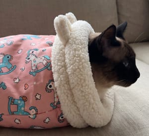Customer photo review of Cat Sleeping Bag