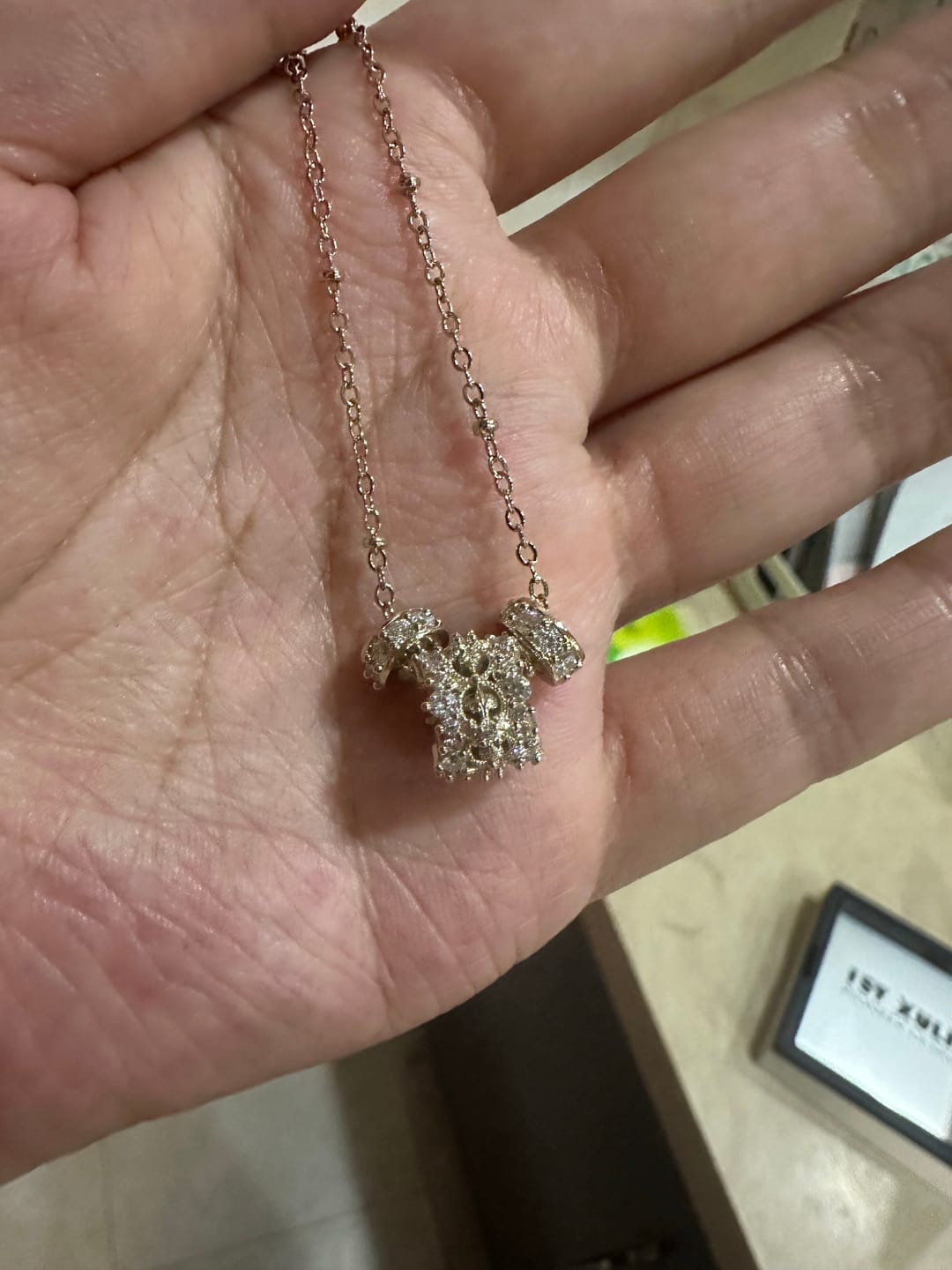 Customer photo review of "Bastet" 14K Gold Plated Vintage Sacred Iris Pendant Necklace, Floral Statement Jewelry