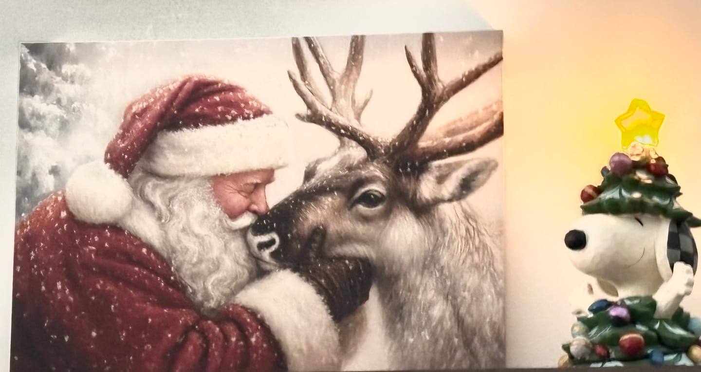 Customer photo review of Santa Claus And Reindeer