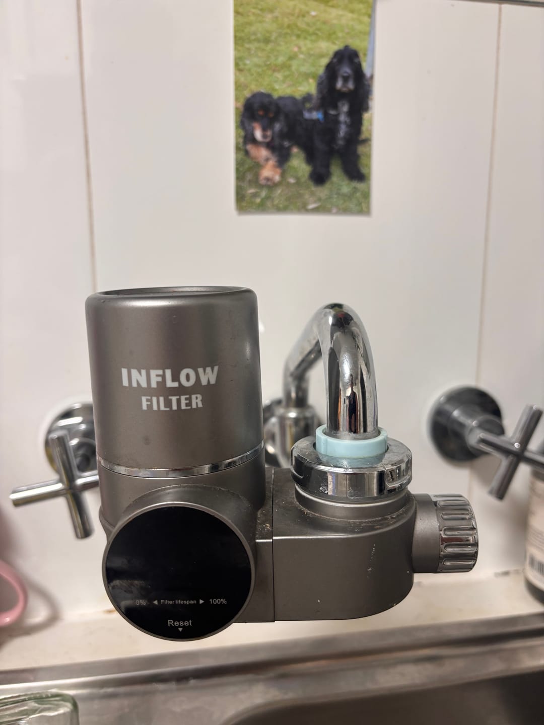 Customer photo review of Tap Filter Refills