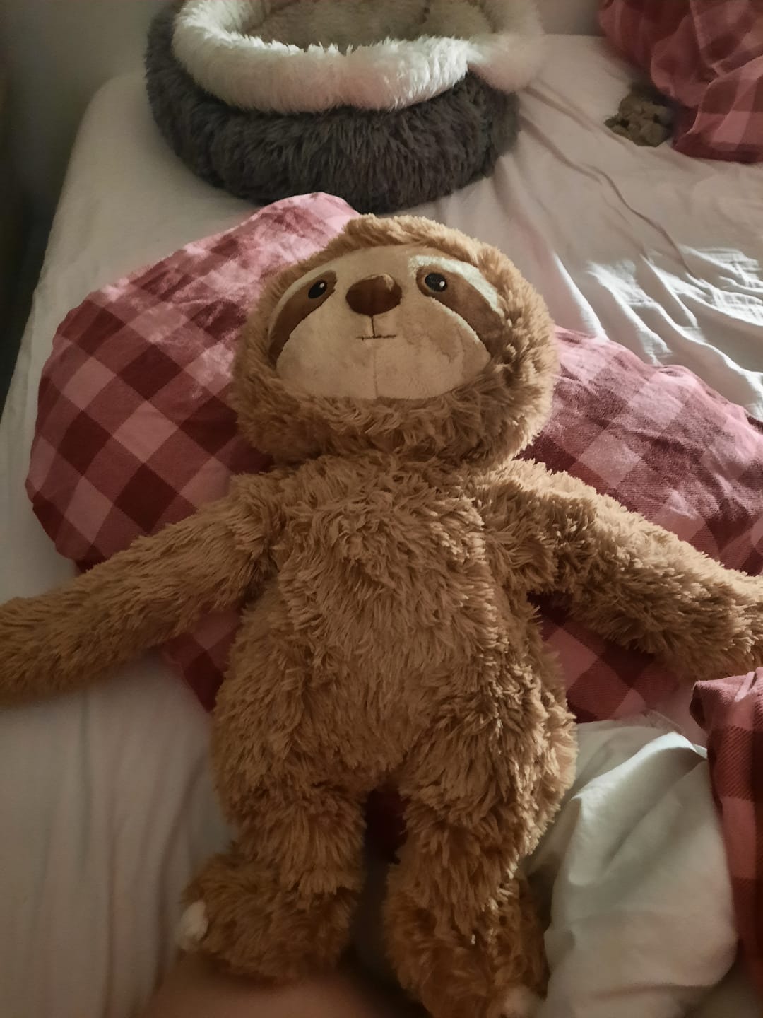 Customer photo review of Lotgenootje Luiaard 2,5kg