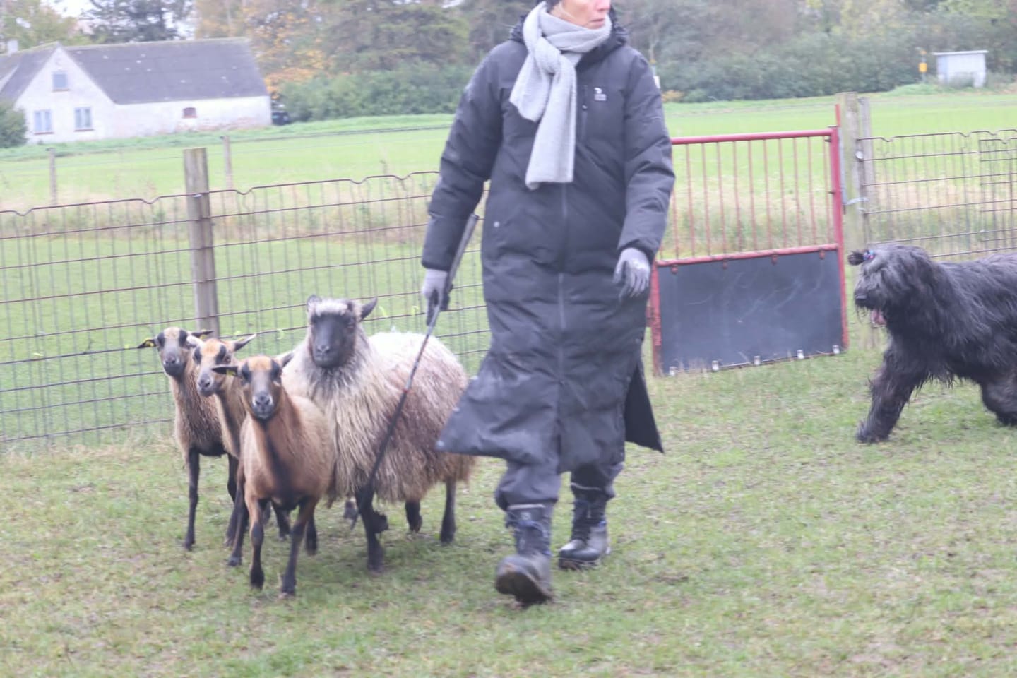 Customer photo review of KeepDry Frakke | Sort | Connor