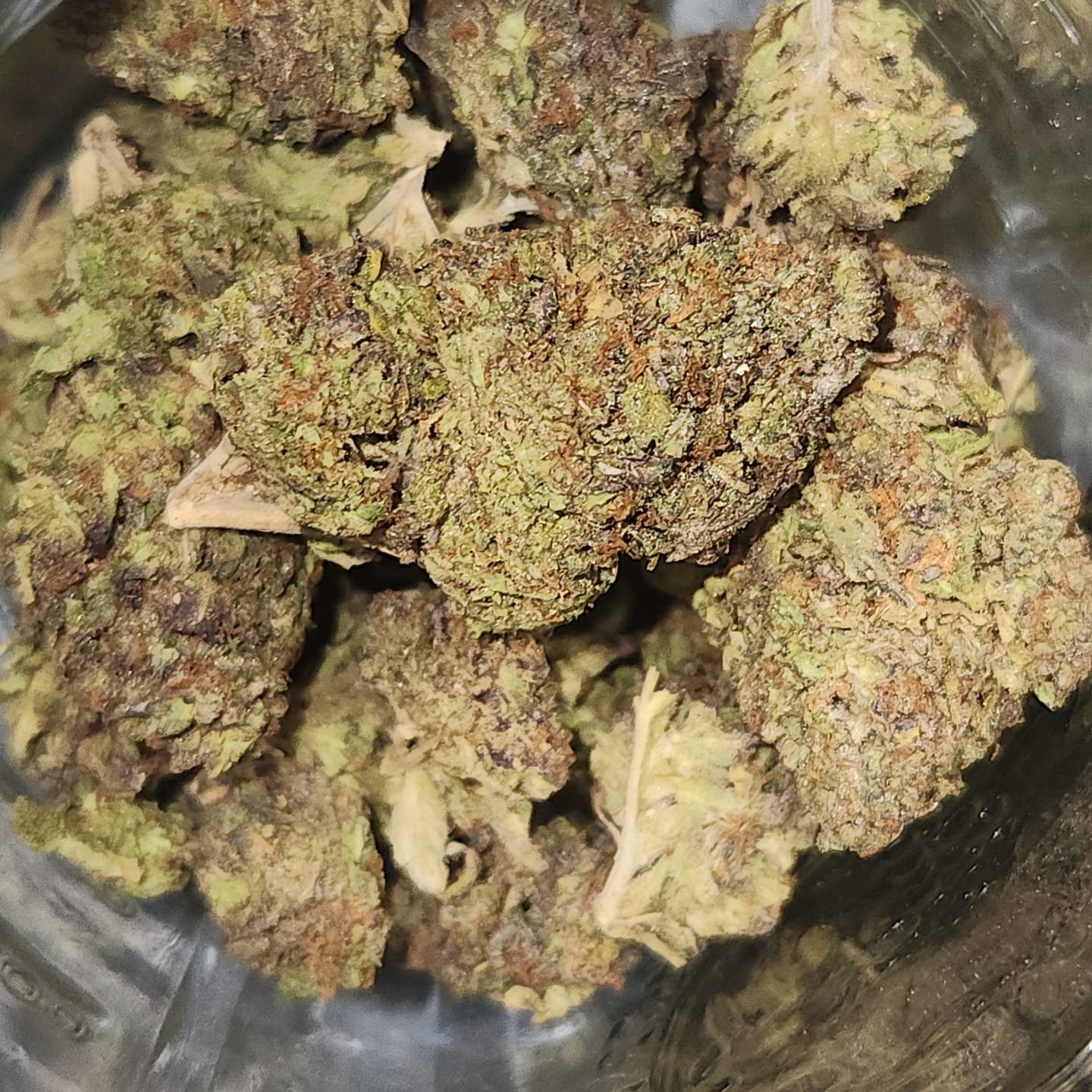 Customer photo review of Orange Dream THCA Flower