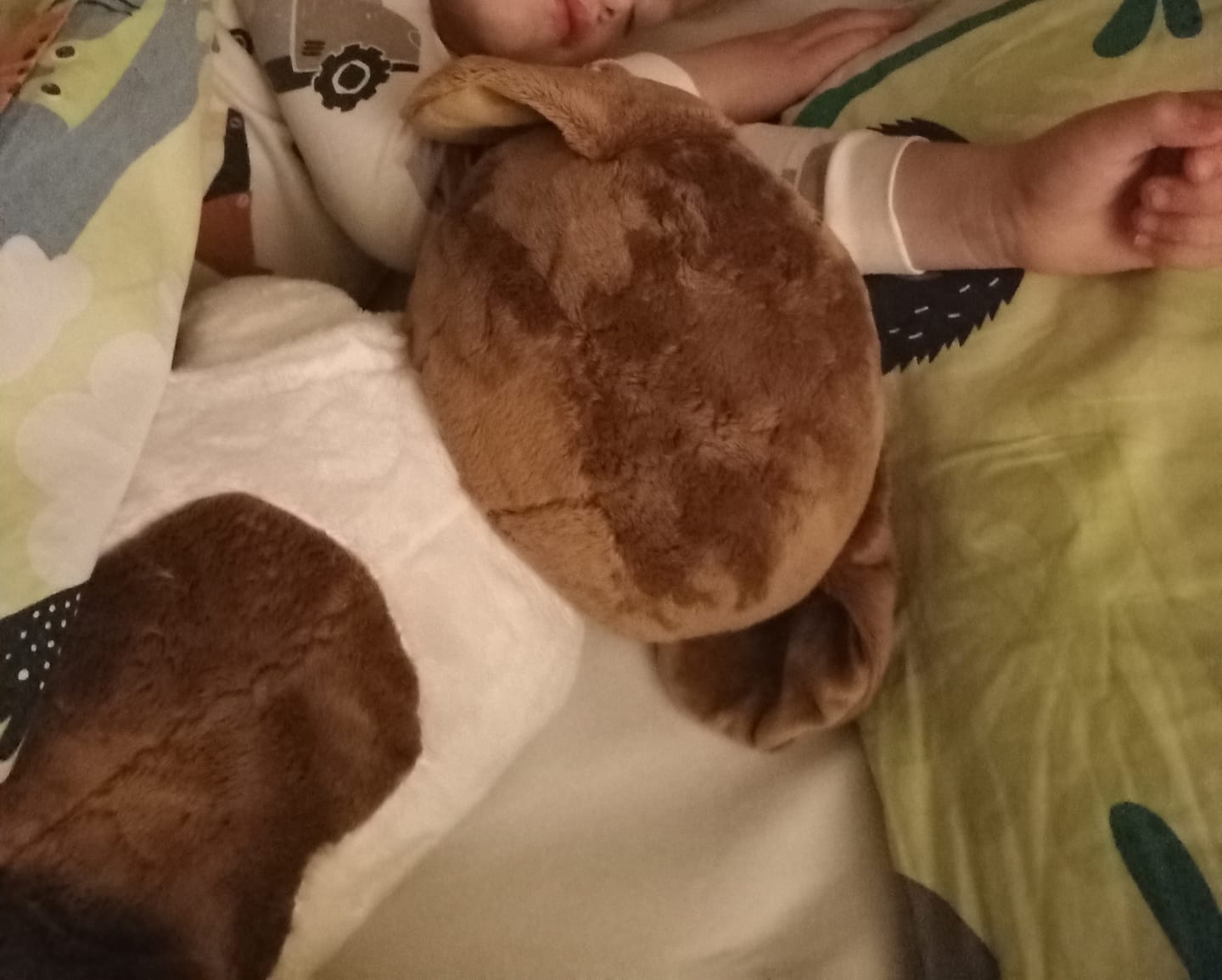 Customer photo review of Lotgenootje Hond 2kg