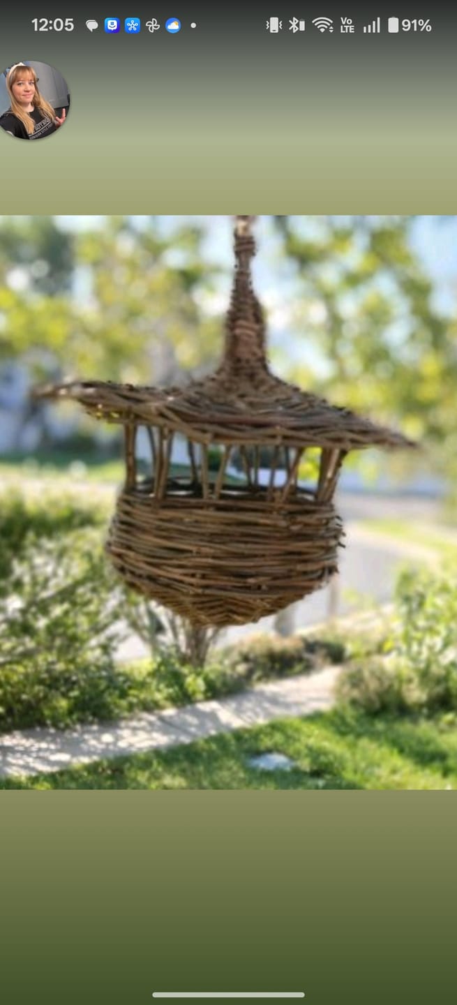 Customer photo review of The Willow Bird Feeder Course and Kit - FREE STAR!