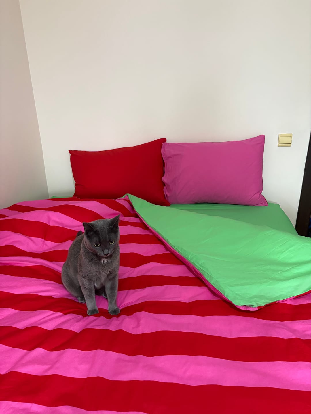 Customer photo review of Cozy Home Popping Colors Çift Kişilik Lastikli Çarşaflı Nevresim Takımı Cherie Yeşil