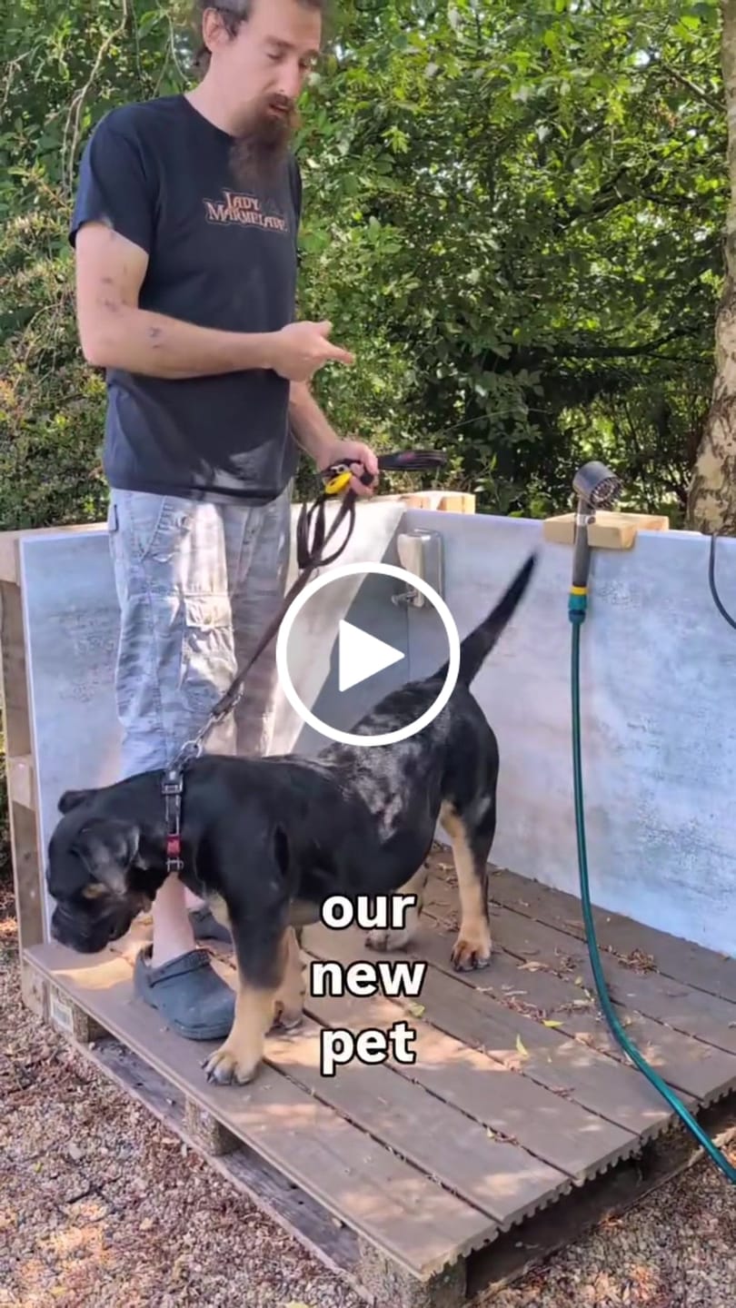 Customer video review of PetJet Mini Plug In Warm Dog Shower®
