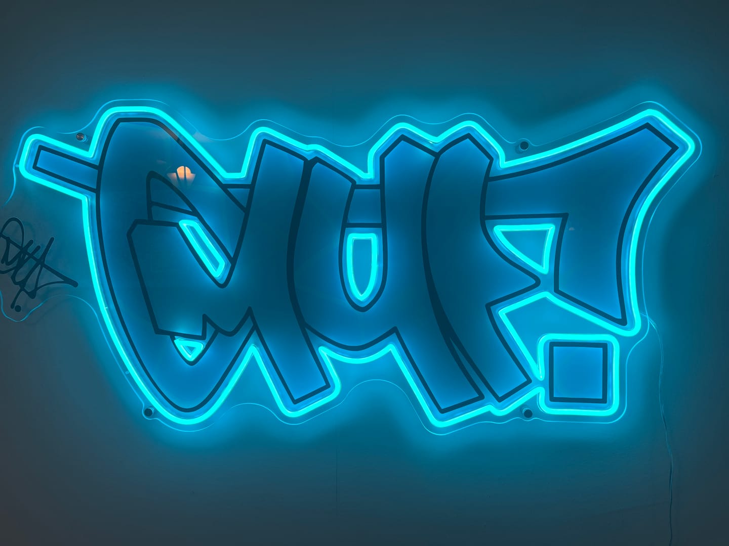 Customer photo review of CYCLEPZ | LED Neon Sign (
