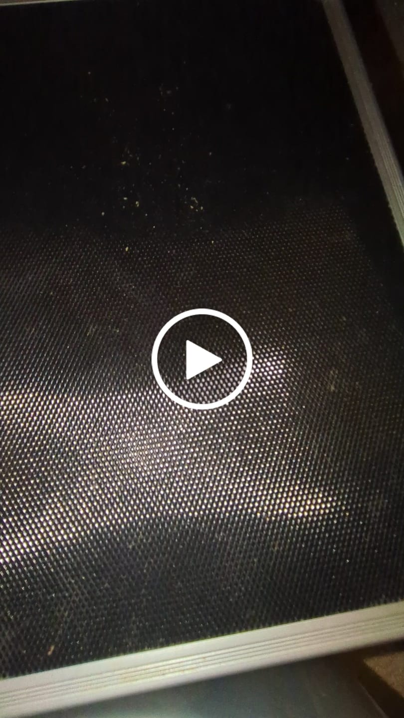 Customer video review of Jifflez Smalls - THCA Flower