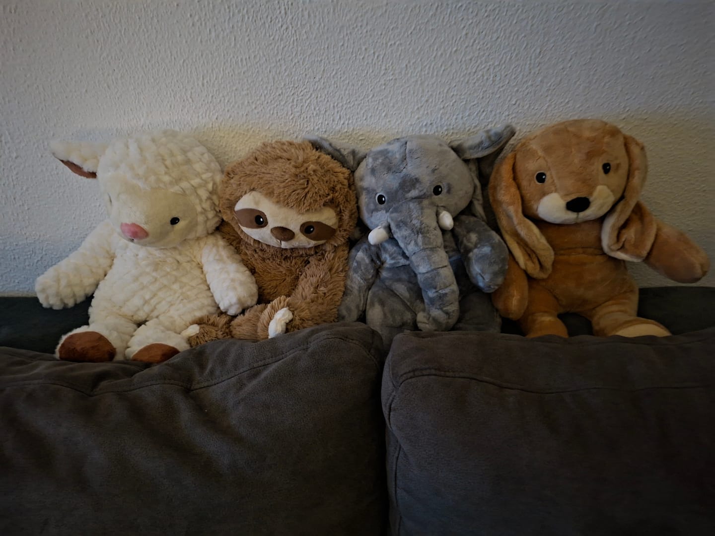 Customer photo review of Lotgenootje Luiaard 2,5kg