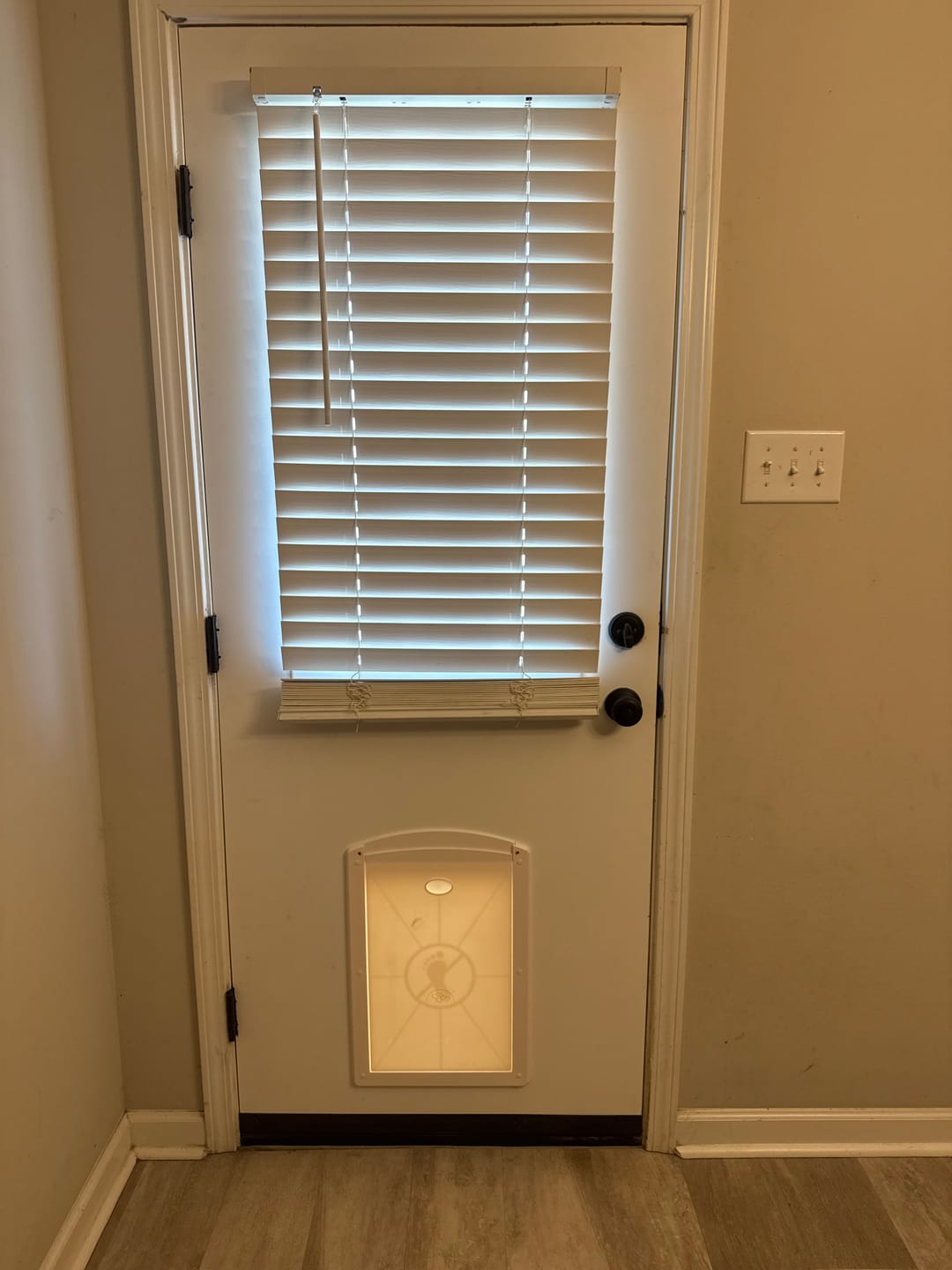 Customer photo review of TENONER White Primed 9-Lite Clear Glass Solid Wood Exterior Door with Pet Door, No Hinges or Handles Included