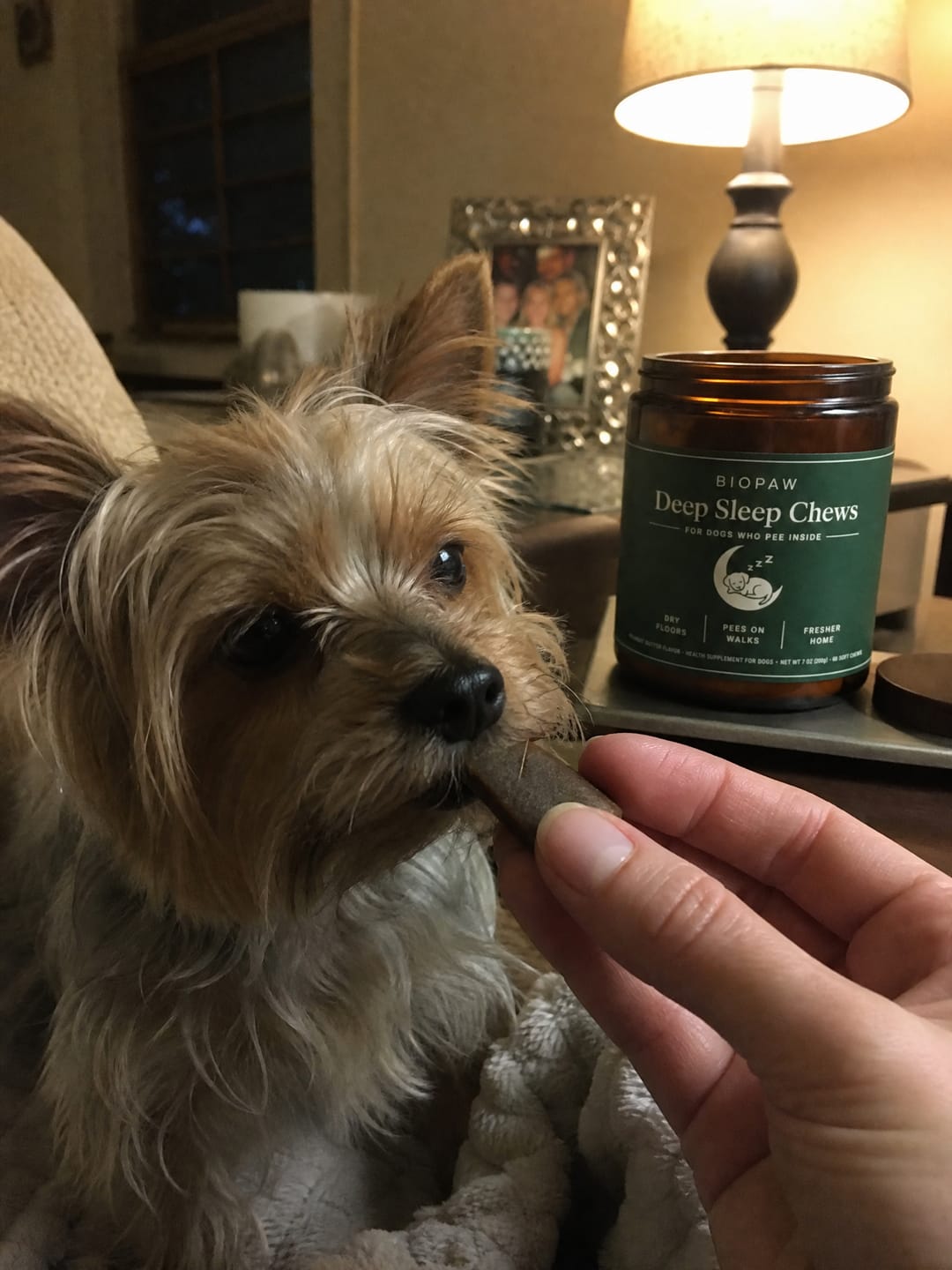 Customer photo review of Deep Sleep Chews for Accidents