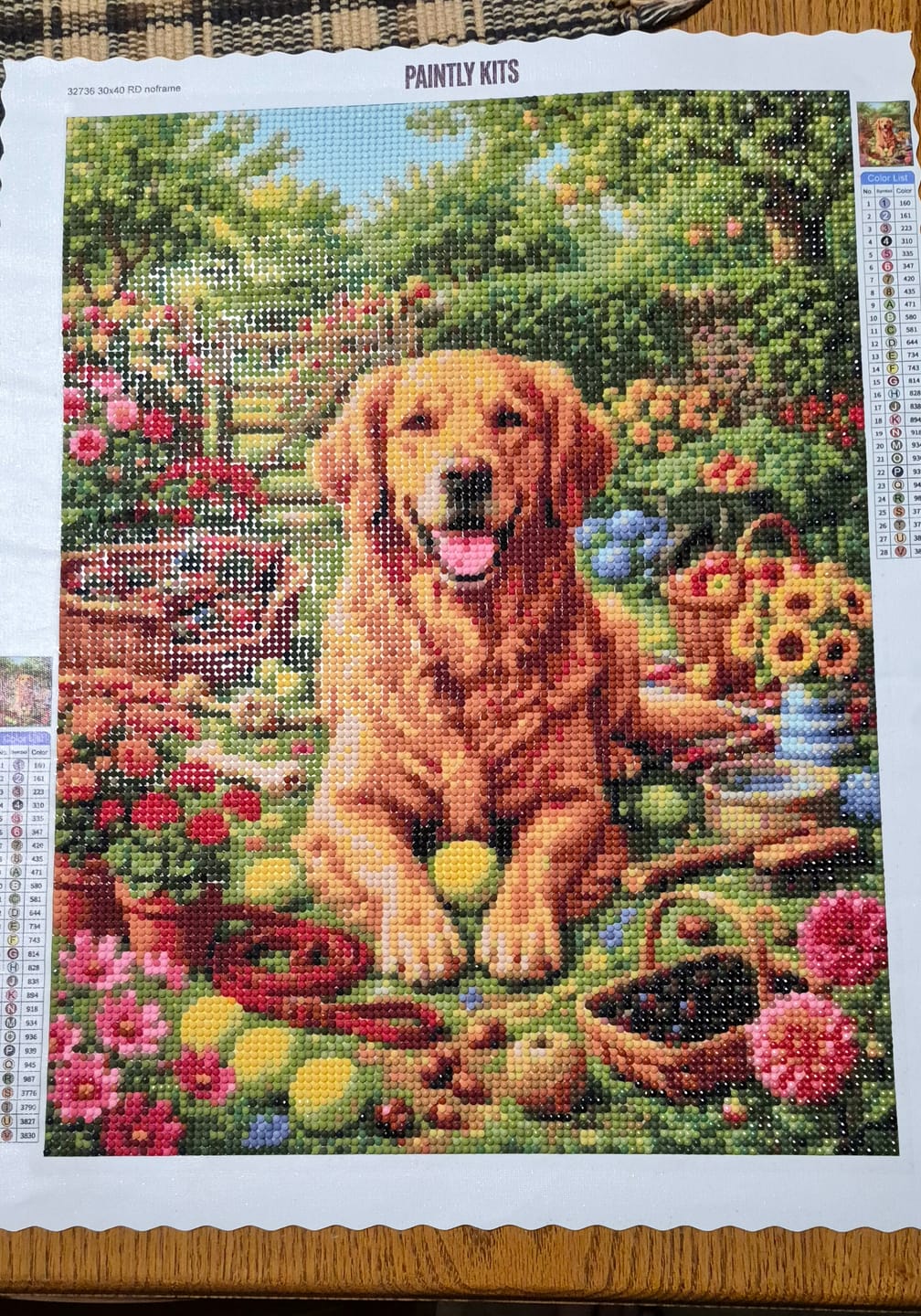 Customer photo review of Custom AI Diamond Painting Kit