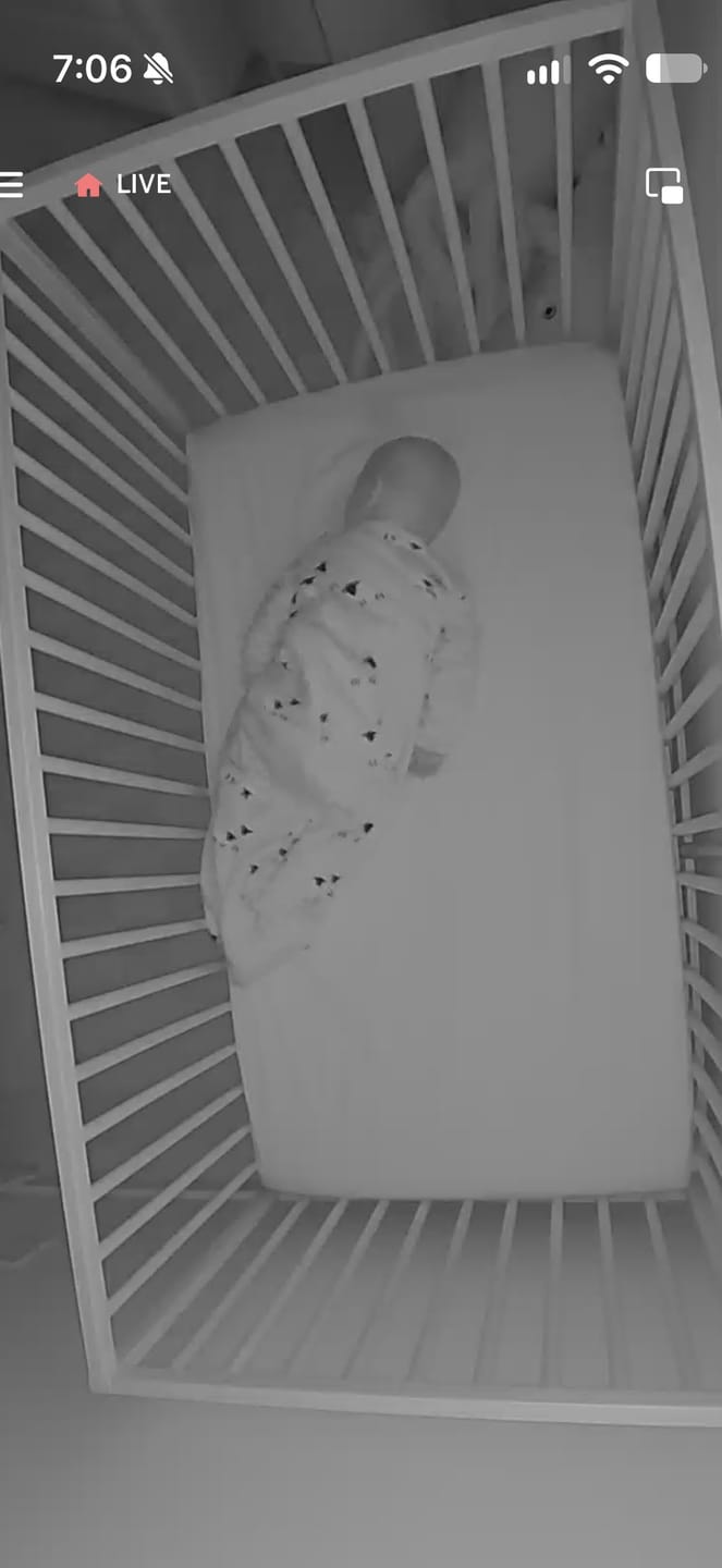Customer photo review of Slumber Sack, Baby Sleep Bag with Sleeves, Merino Wool & Organic Cotton, Sheep Slate