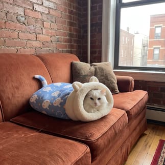 Customer photo review of Cat Sleeping Bag