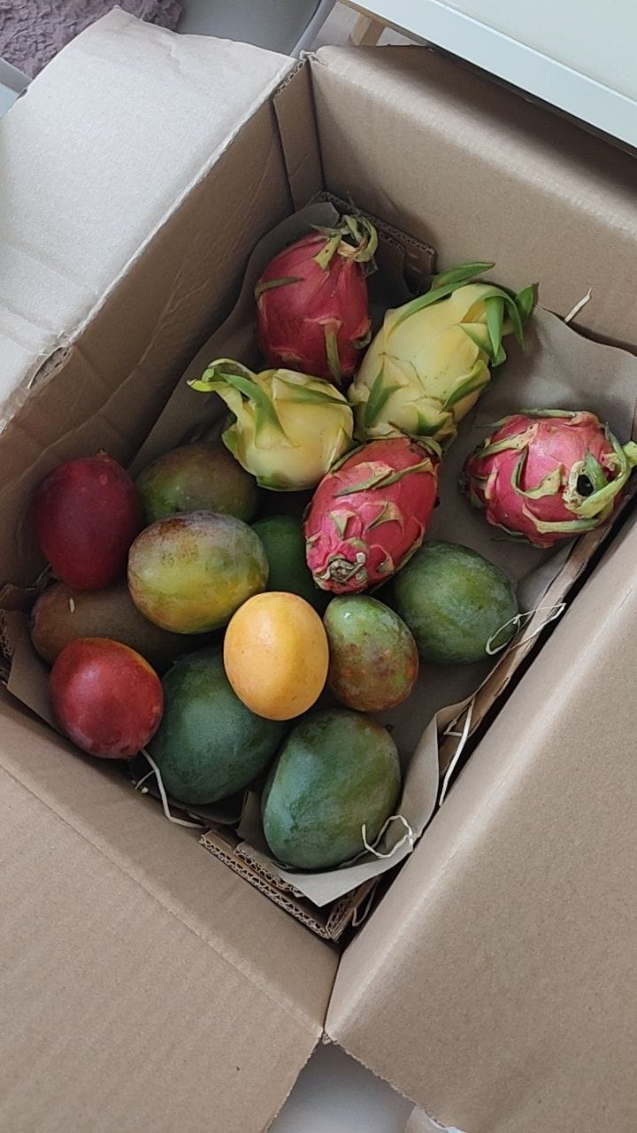 Customer photo review of Drachenfrucht gelb & weiss Bio von Salvador Rettungsaktion 2kg