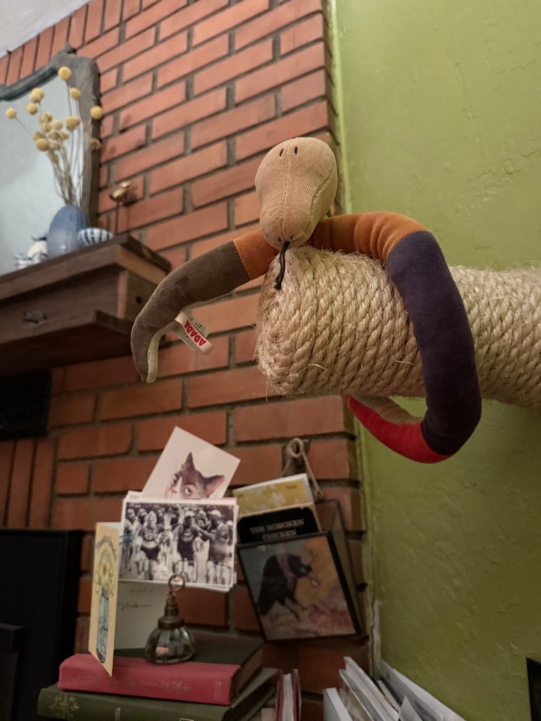 Customer photo review of ZIGGY THE SNAKE - M