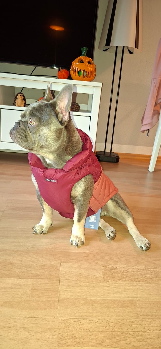 Customer photo review of PuffShield Winter Jackets