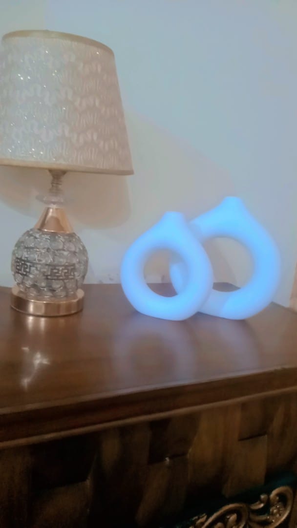Customer photo review of White Donut Bud Vase Set of 2