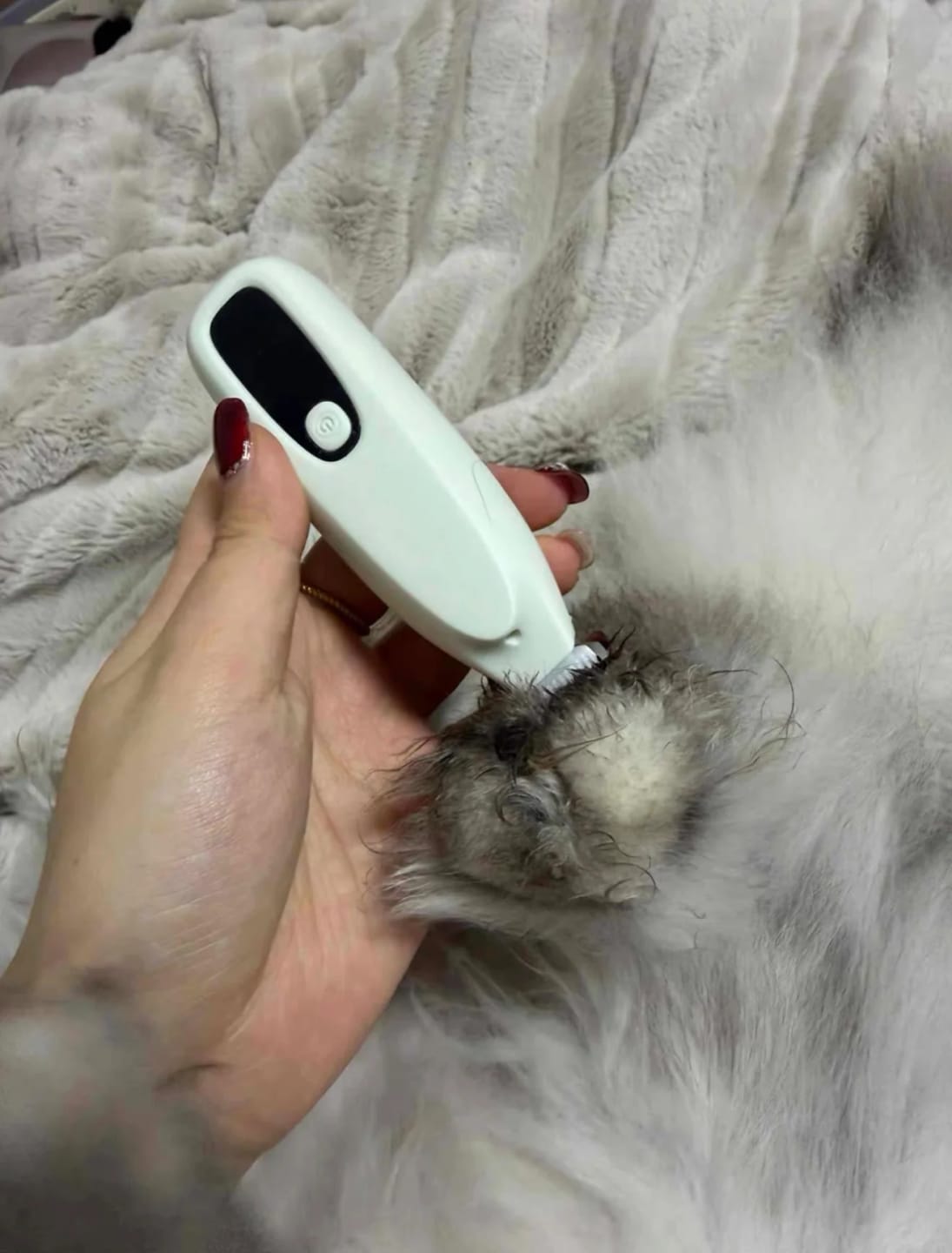 Customer photo review of Huskees Paw Trimmer™