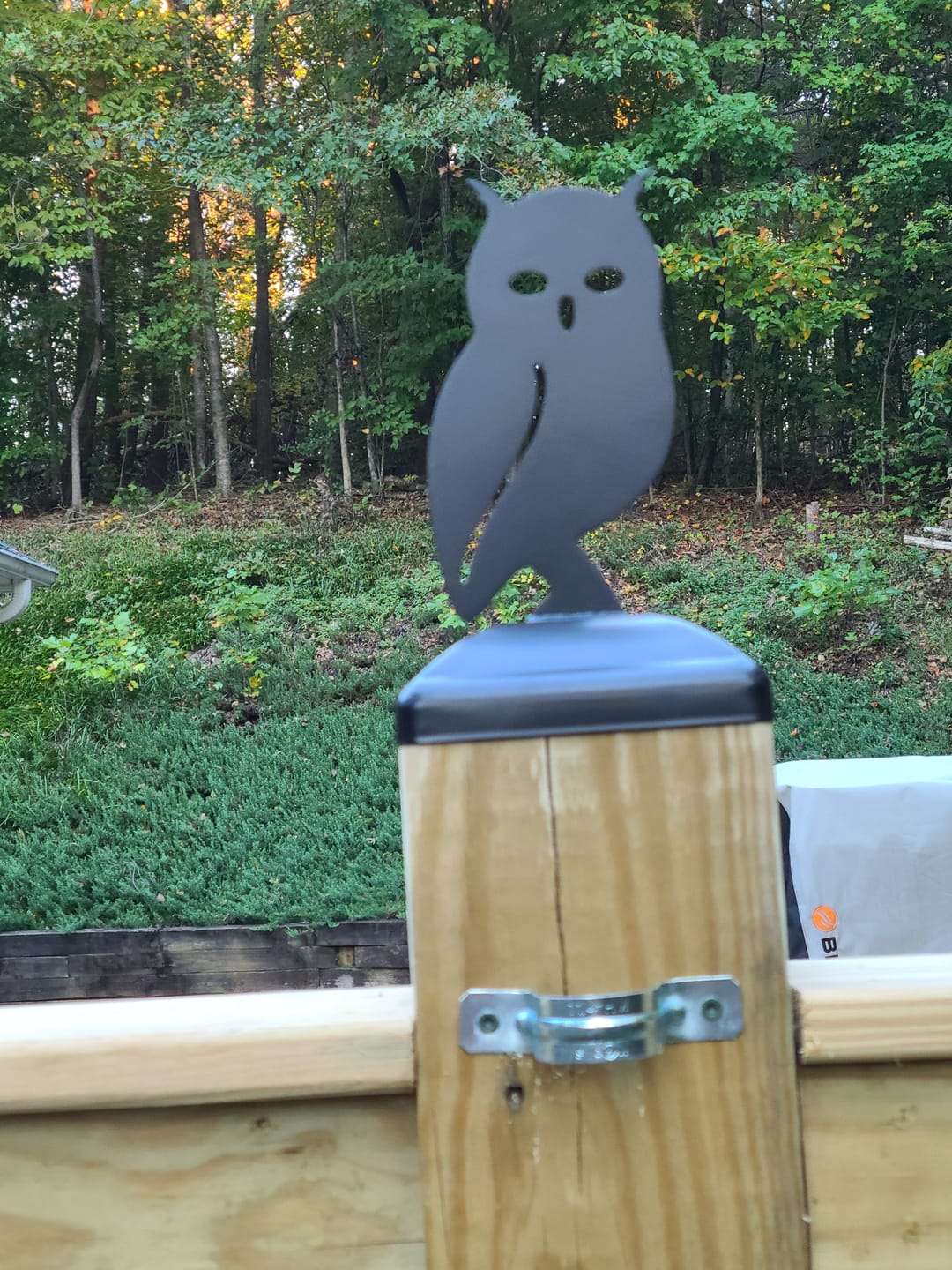 Customer photo review of Owl Fence Post Cap (Multiple Post Sizes Available)