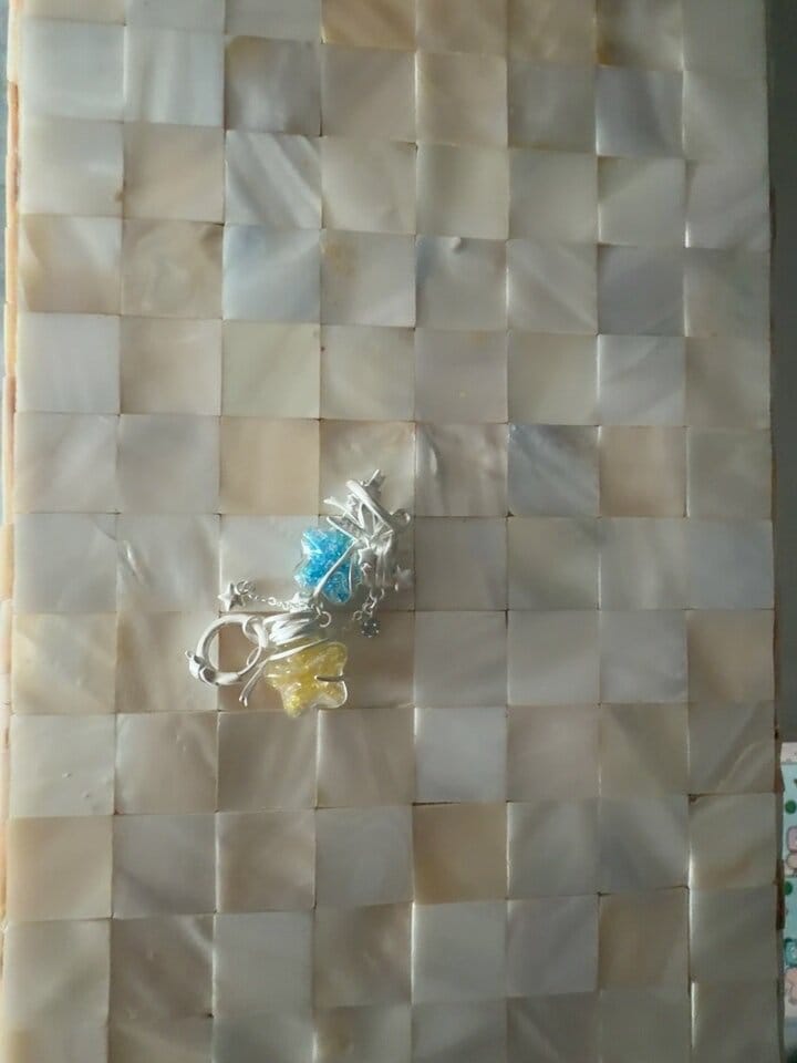 Customer photo review of "WISHING STAR" Platinum Plated Wishing Bottle Dangle Earrings