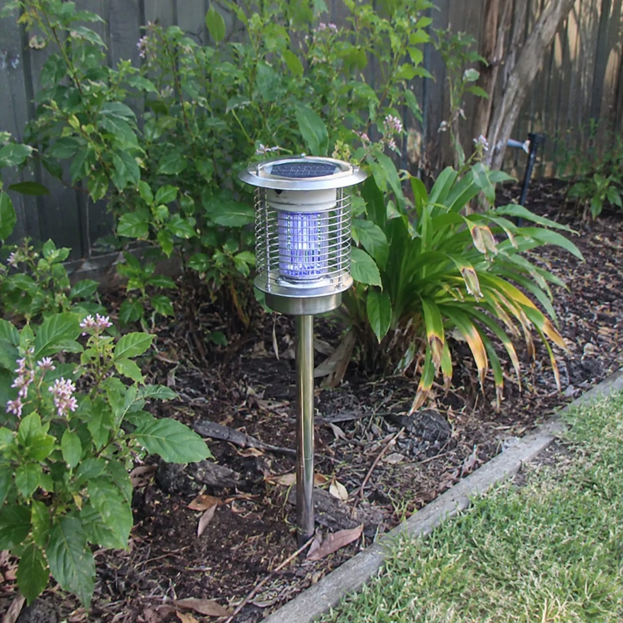 Customer photo review of 2-in-1 Solar Mosquito Zapper & Garden Light – 2,200mAh Rechargeable | Black or Silver