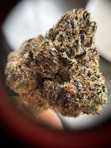 Customer photo review of Exotic Indoor Express THCA Flower (7 Grams)