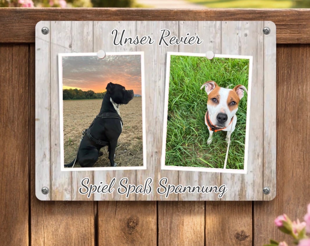 Customer photo review of Hunde-Türschild personalisiert mit Foto & Text (UV- und wetterfest)