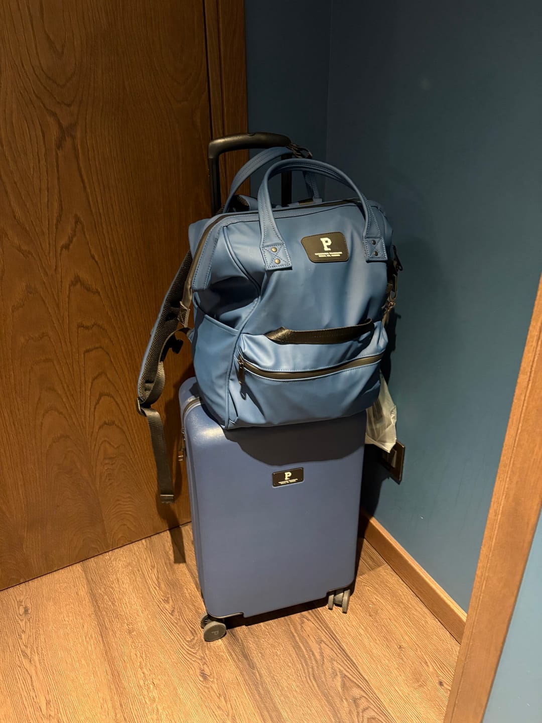 Customer photo review of Cascade Carry-On