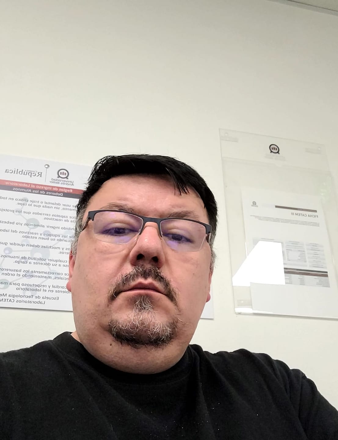 Customer photo review of Polera Hombre 100% Algodón Negro