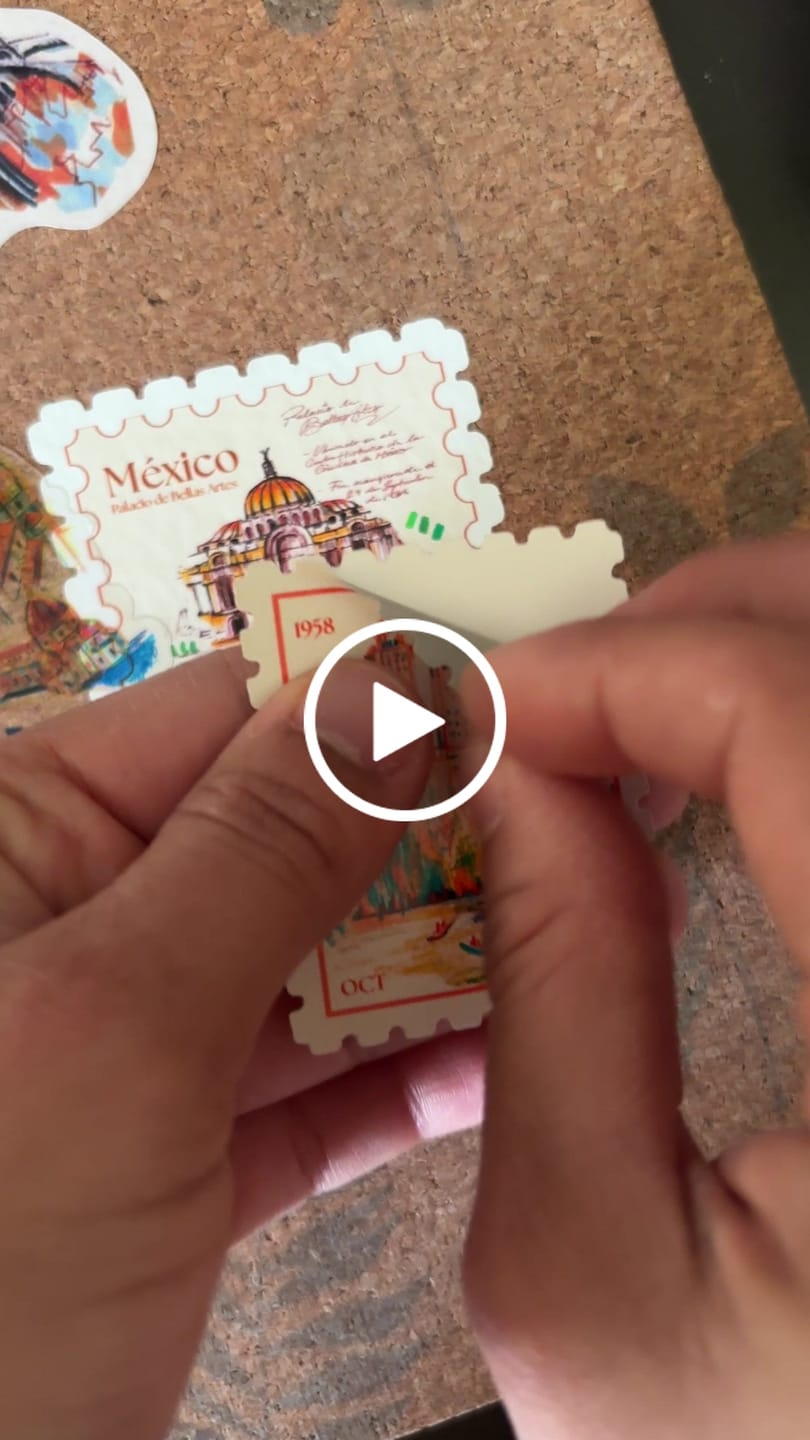 Customer video review of Stickers Económicos