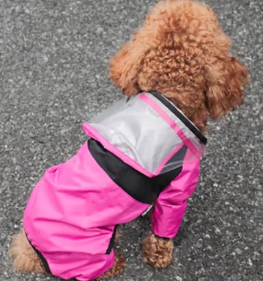 Customer photo review of Dog Raincoat That Keeps Your Pup Dry