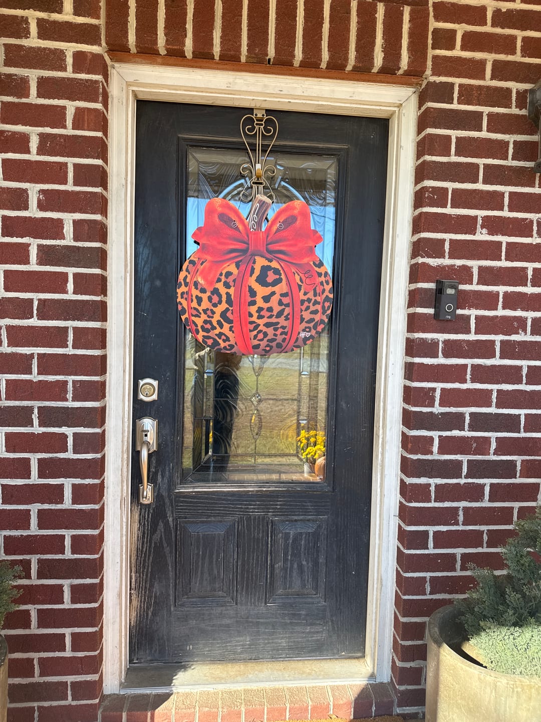 Customer photo review of Leopard Pumpkin Door Hanger