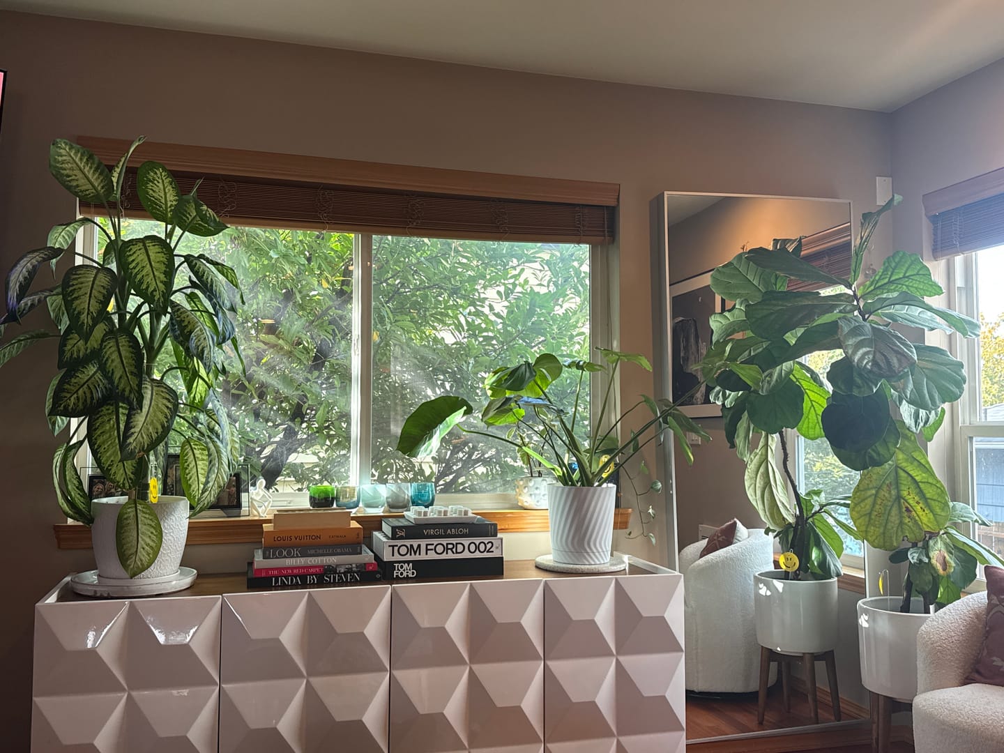 Customer photo review of Leaf Cleanse