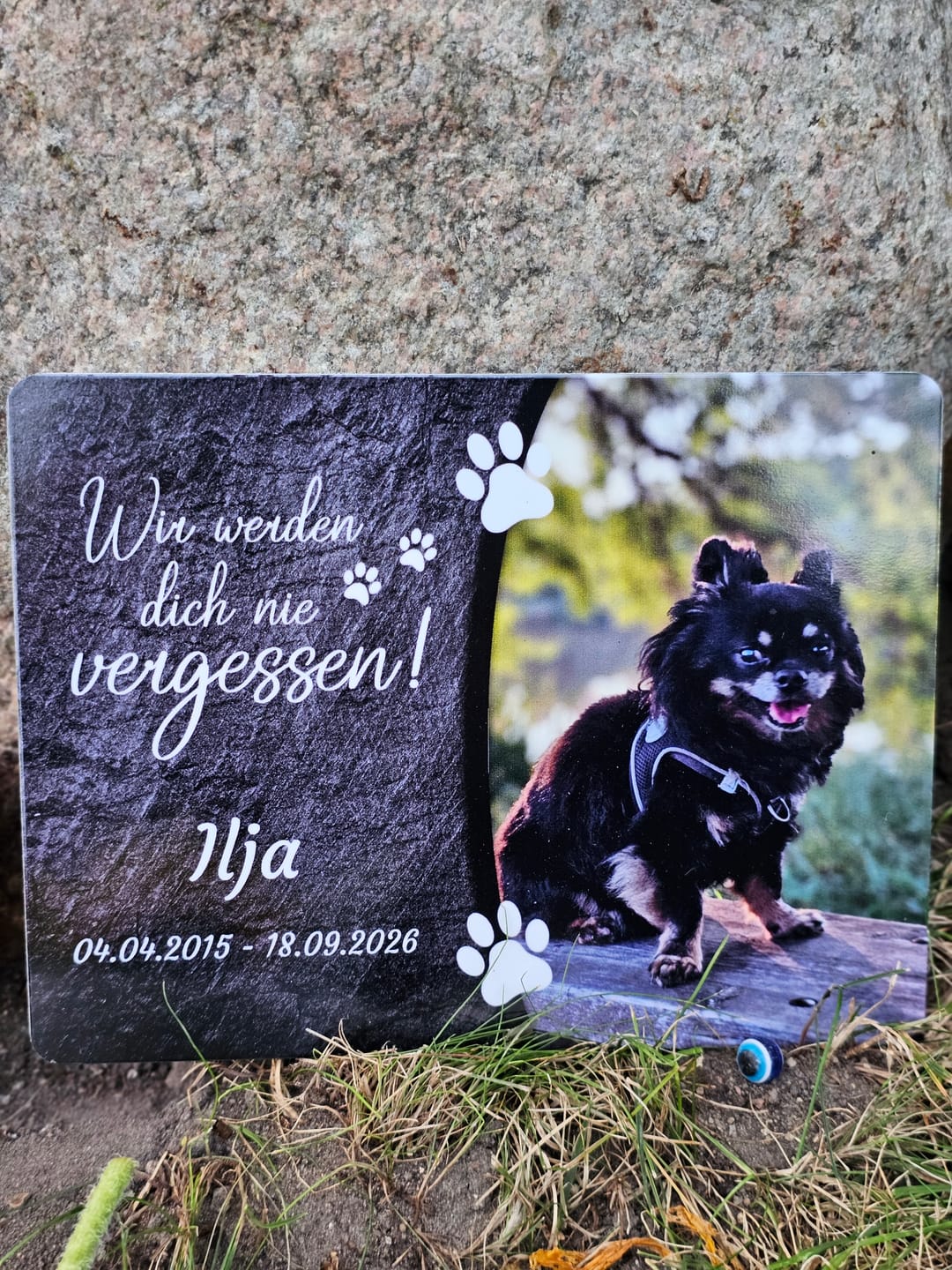 Customer photo review of Hunde Gedenktafel mit Foto & Spruch (UV- & Wetterfest)