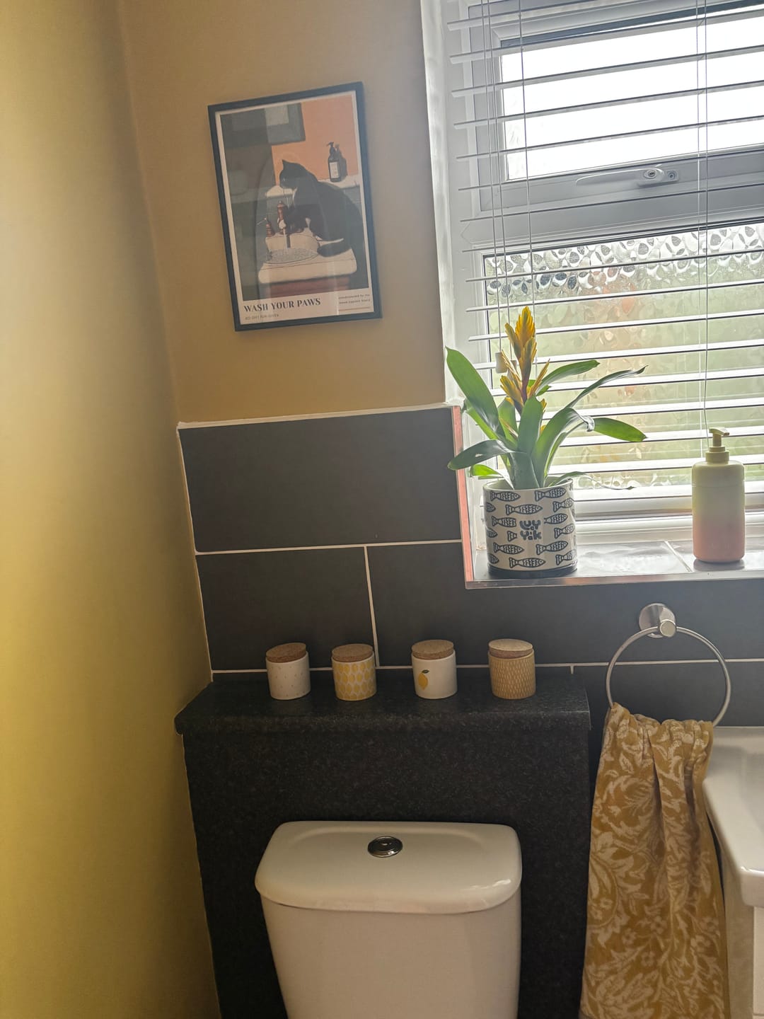 Customer photo review of Black Cat Bathroom Print - "Wash Your Paws"