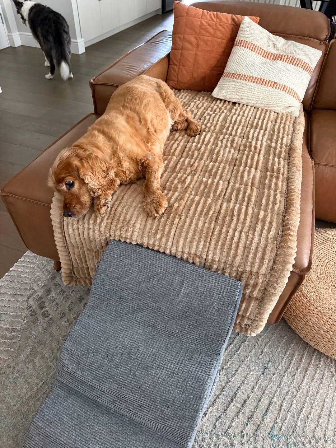 Customer photo review of Cosy Couch - Couch Cover