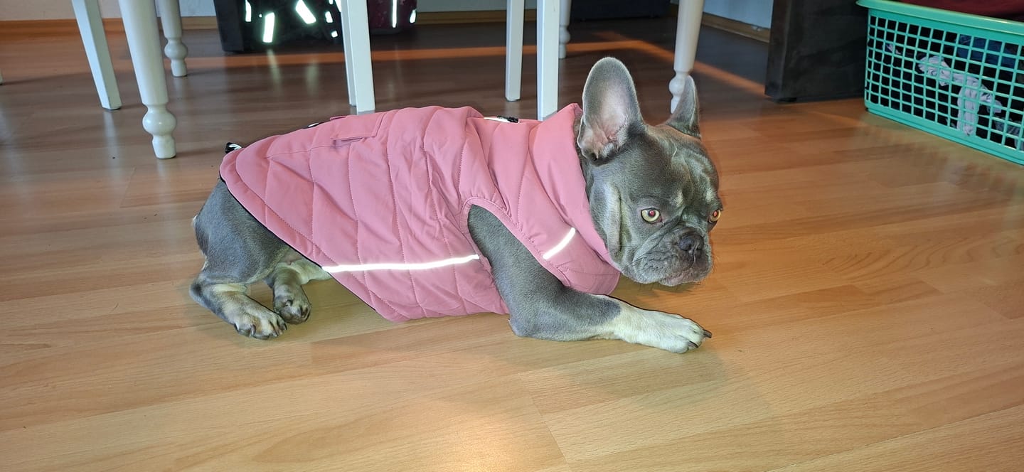 Customer photo review of WarmShield Water-Resistant Jacket - Dusty Pink