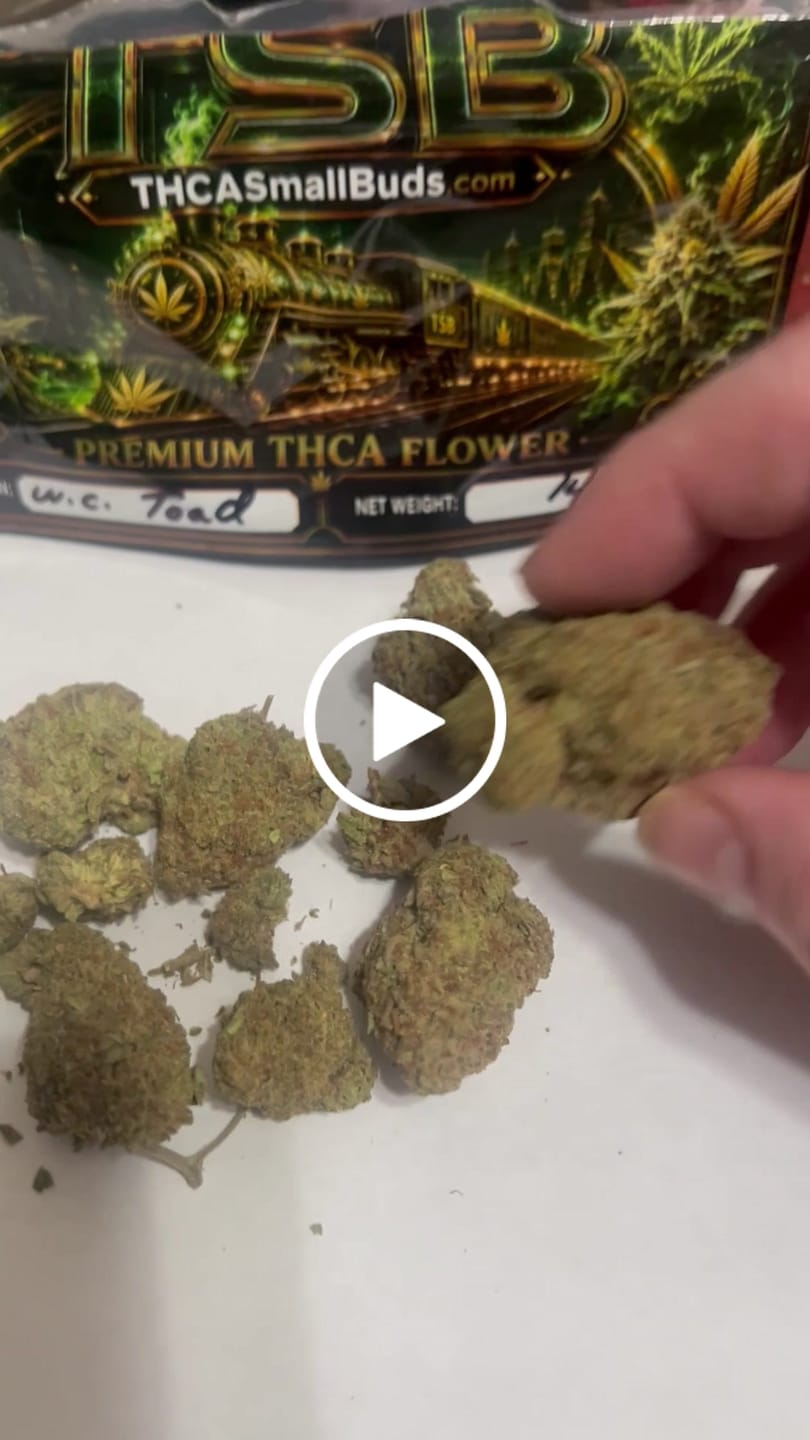 Customer video review of West Coast Toad THCA Flower